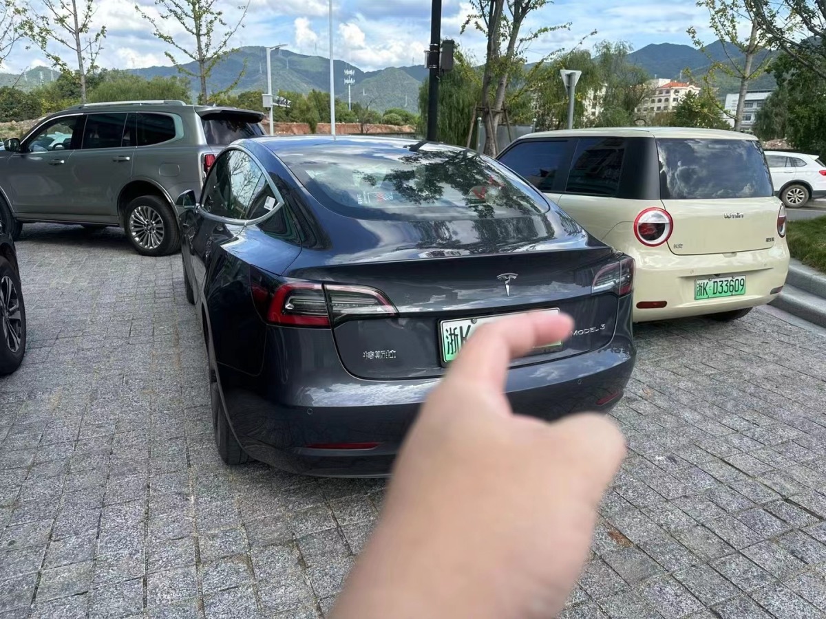 特斯拉 Model 3  2019款 標(biāo)準(zhǔn)續(xù)航后驅(qū)升級(jí)版圖片