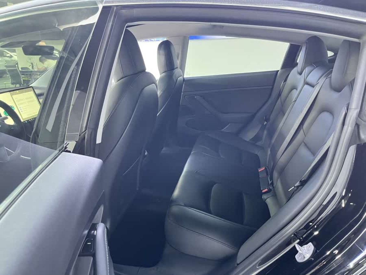 特斯拉 Model 3  2020款 改款 標準續(xù)航后驅(qū)升級版圖片