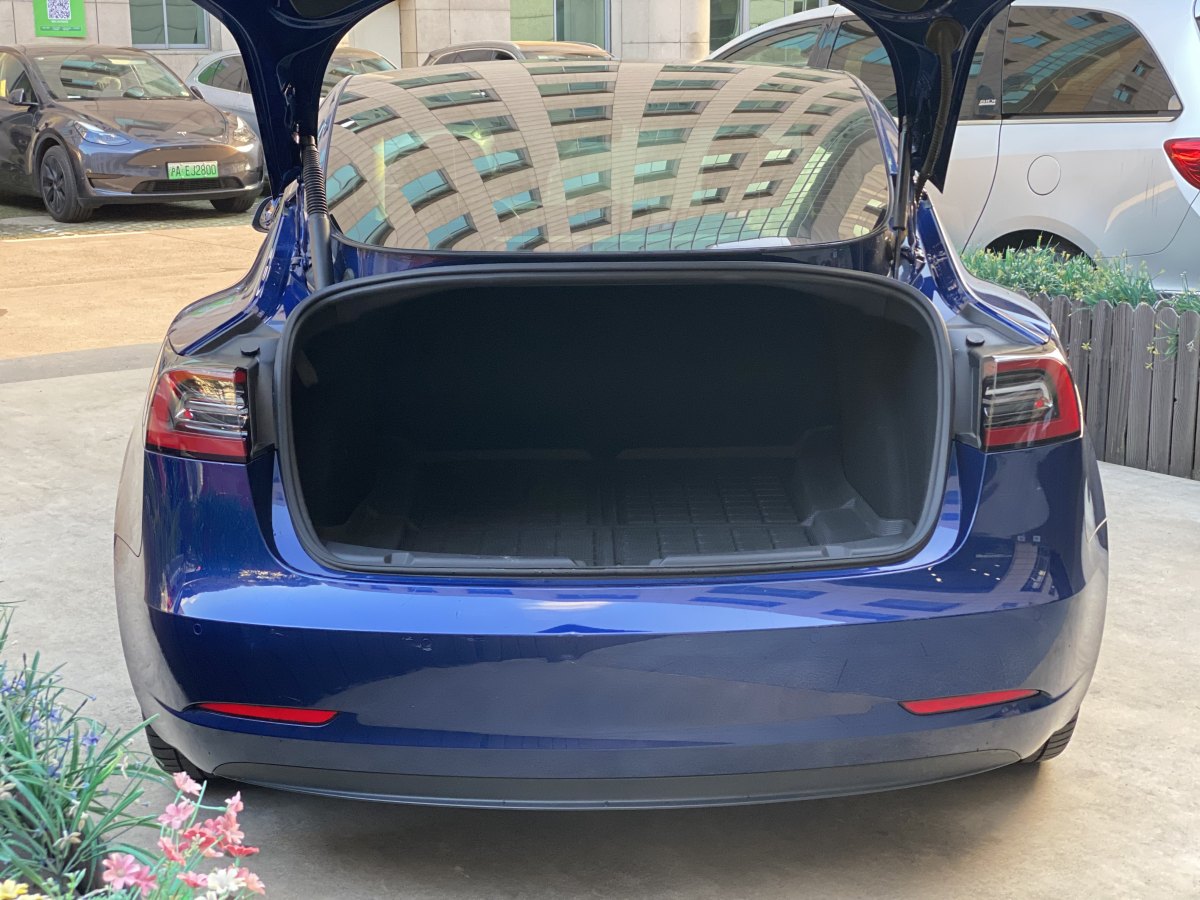 特斯拉 Model 3  2019款 標(biāo)準(zhǔn)續(xù)航后驅(qū)升級版圖片