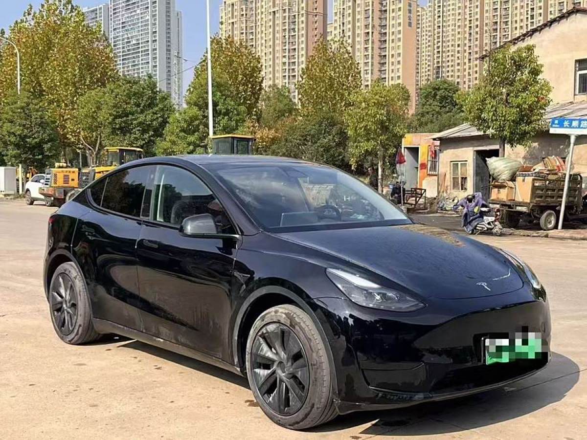 特斯拉 Model 3  2020款 改款 長(zhǎng)續(xù)航后輪驅(qū)動(dòng)版圖片