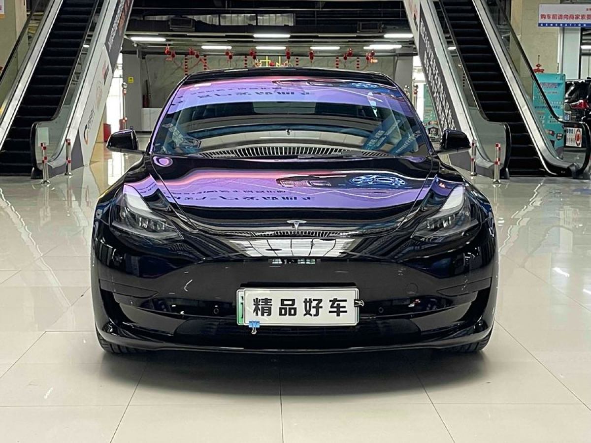 特斯拉 Model 3  2021款 標(biāo)準(zhǔn)續(xù)航后驅(qū)升級版 3D6圖片