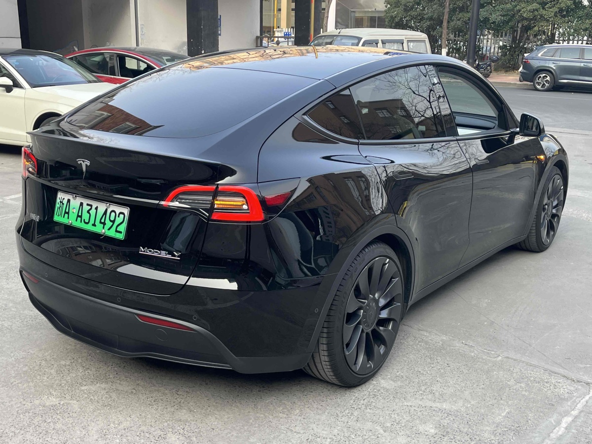 特斯拉 Model 3  2022款 Performance高性能全輪驅(qū)動(dòng)版圖片