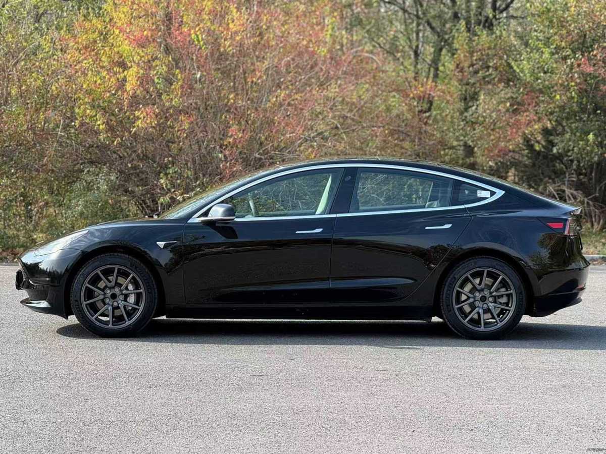 特斯拉 Model 3  2019款 標準續(xù)航后驅升級版圖片