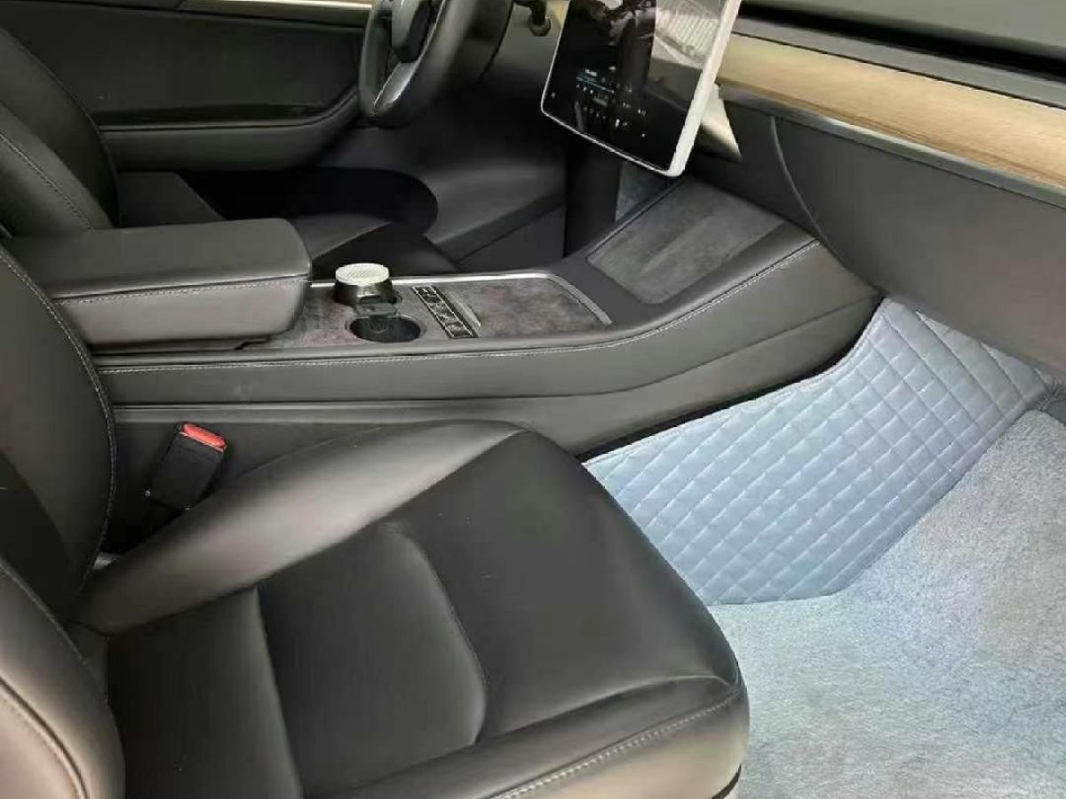 特斯拉 Model Y  2022款 Performance高性能全輪驅(qū)動版圖片