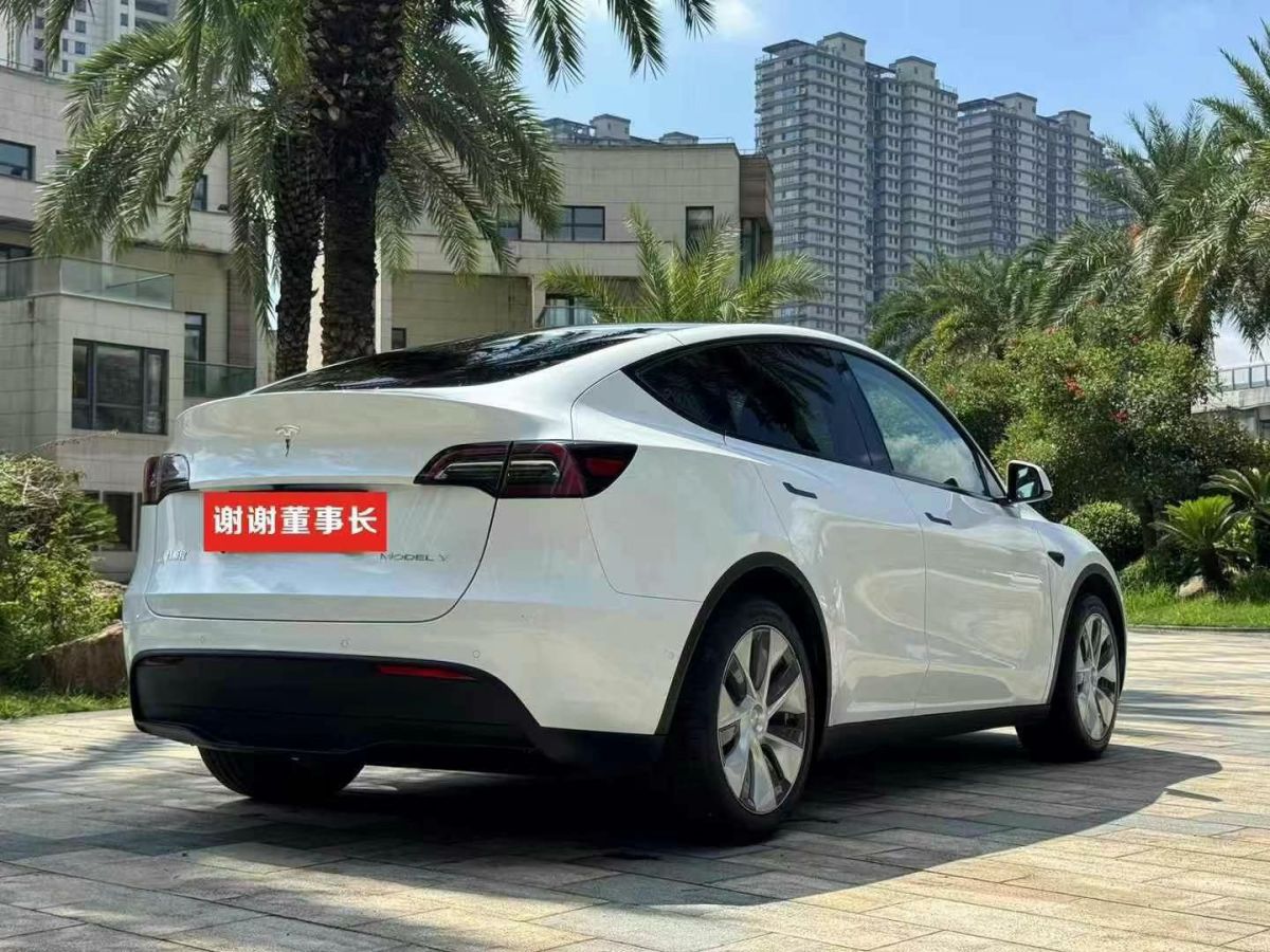 特斯拉 Model 3  2022款 Performance高性能全輪驅(qū)動(dòng)版圖片