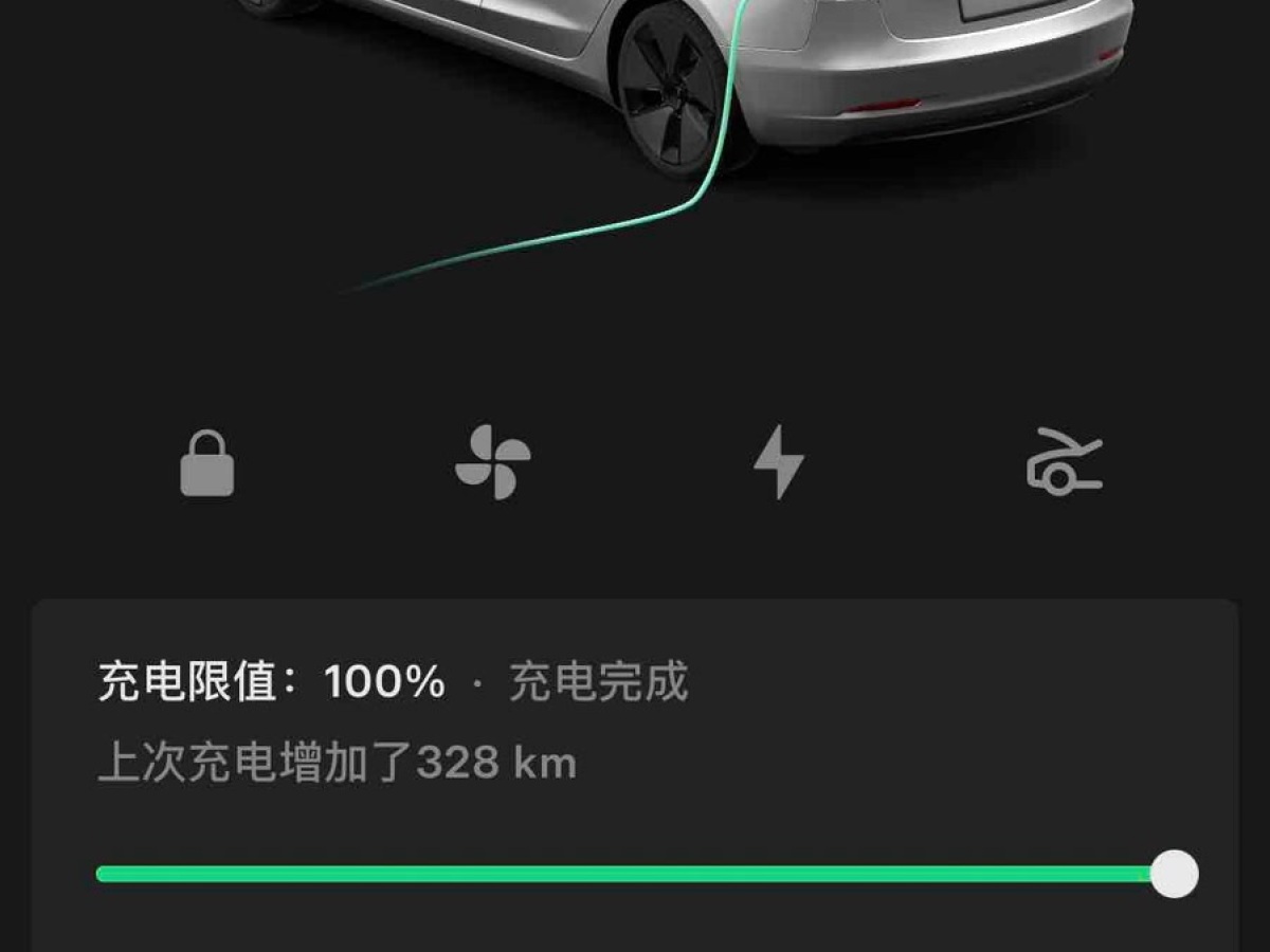 特斯拉 Model 3  2022款 后輪驅(qū)動(dòng)版圖片