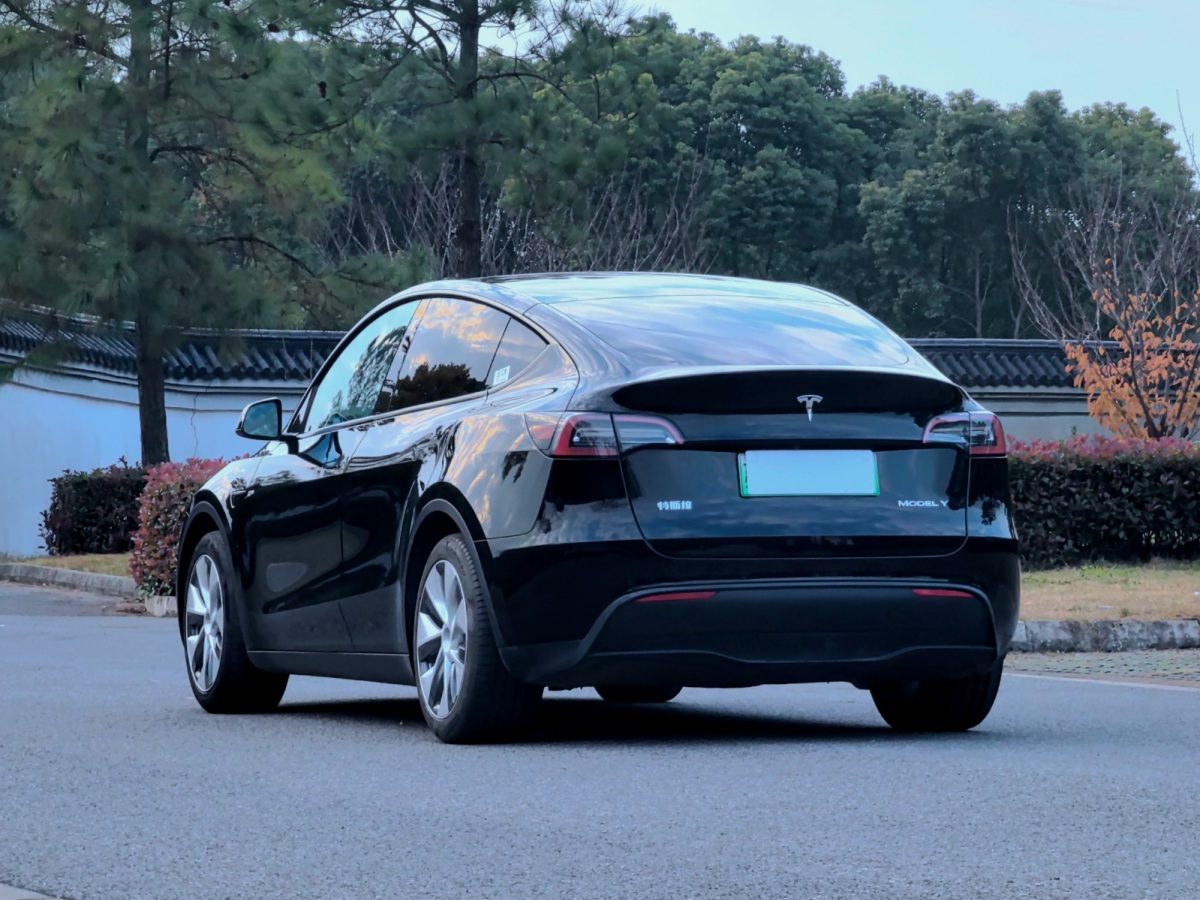  特斯拉 Model Y 2022款 后輪驅(qū)動版圖片