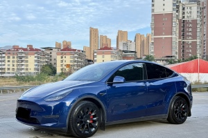 Model Y 特斯拉 长续航全轮驱动版