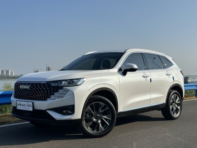 2022年11月 哈弗 哈弗H6新能源 DHT-PHEV 110KM 悦行版图片