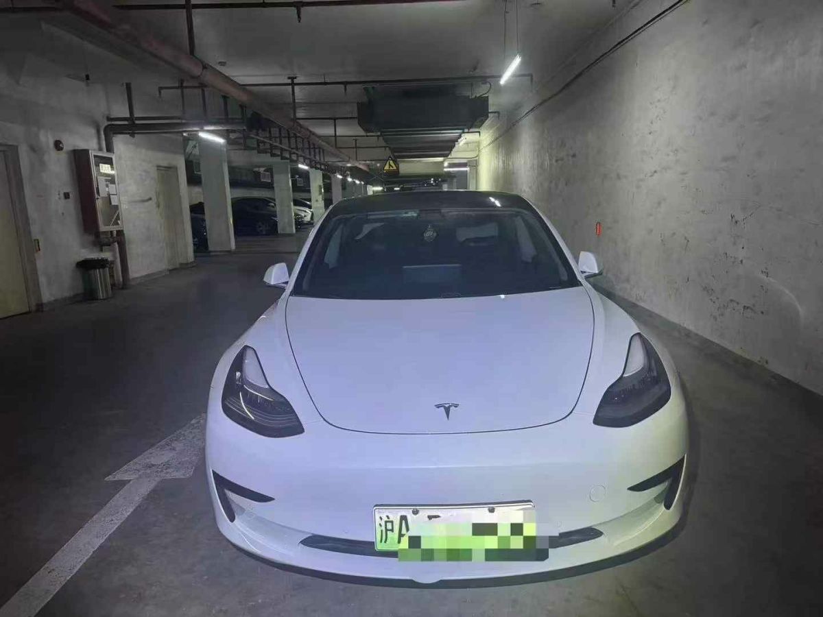 特斯拉 Model 3  2020款 標(biāo)準(zhǔn)續(xù)航后驅(qū)升級(jí)版圖片