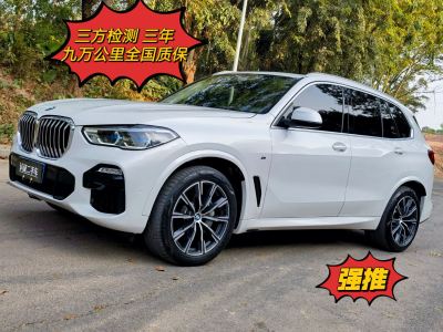 2019年3月 寶馬 寶馬X5(進口) xDrive40i M運動套裝圖片
