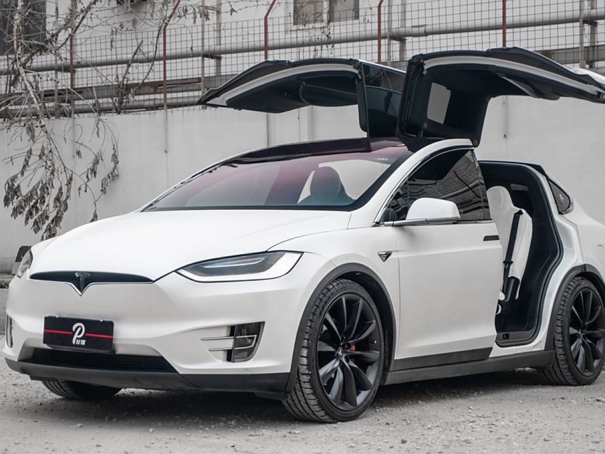 特斯拉 Model X  2019款 Performance 高性能版圖片