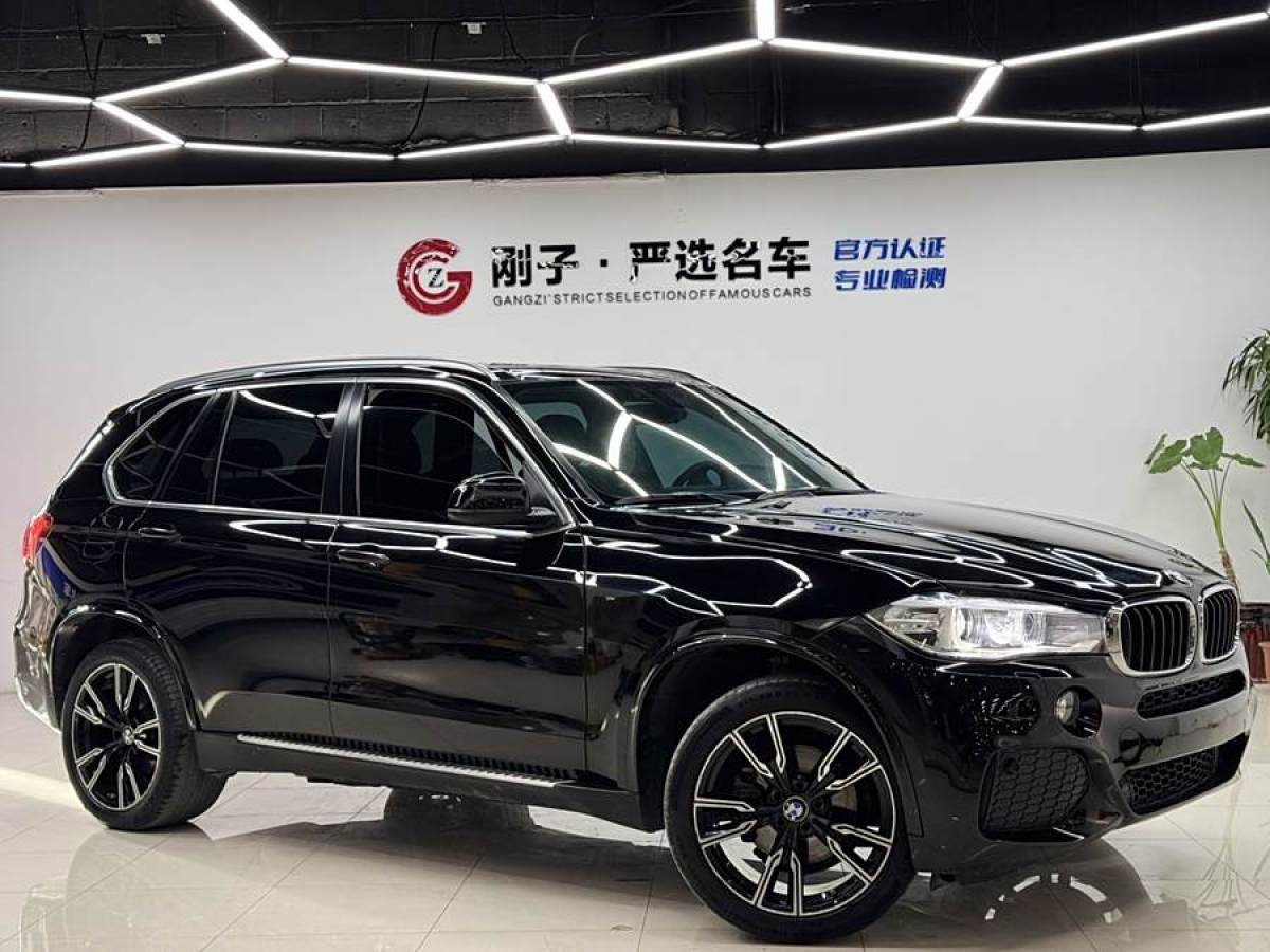 寶馬 寶馬X5  2018款 xDrive35i 典雅型圖片