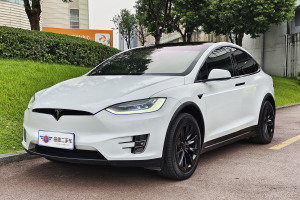 Model X 特斯拉 长续航版