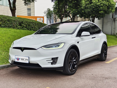 2020年9月 特斯拉 Model X 長續(xù)航版圖片