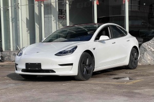 Model 3 特斯拉 标准续航后驱升级版