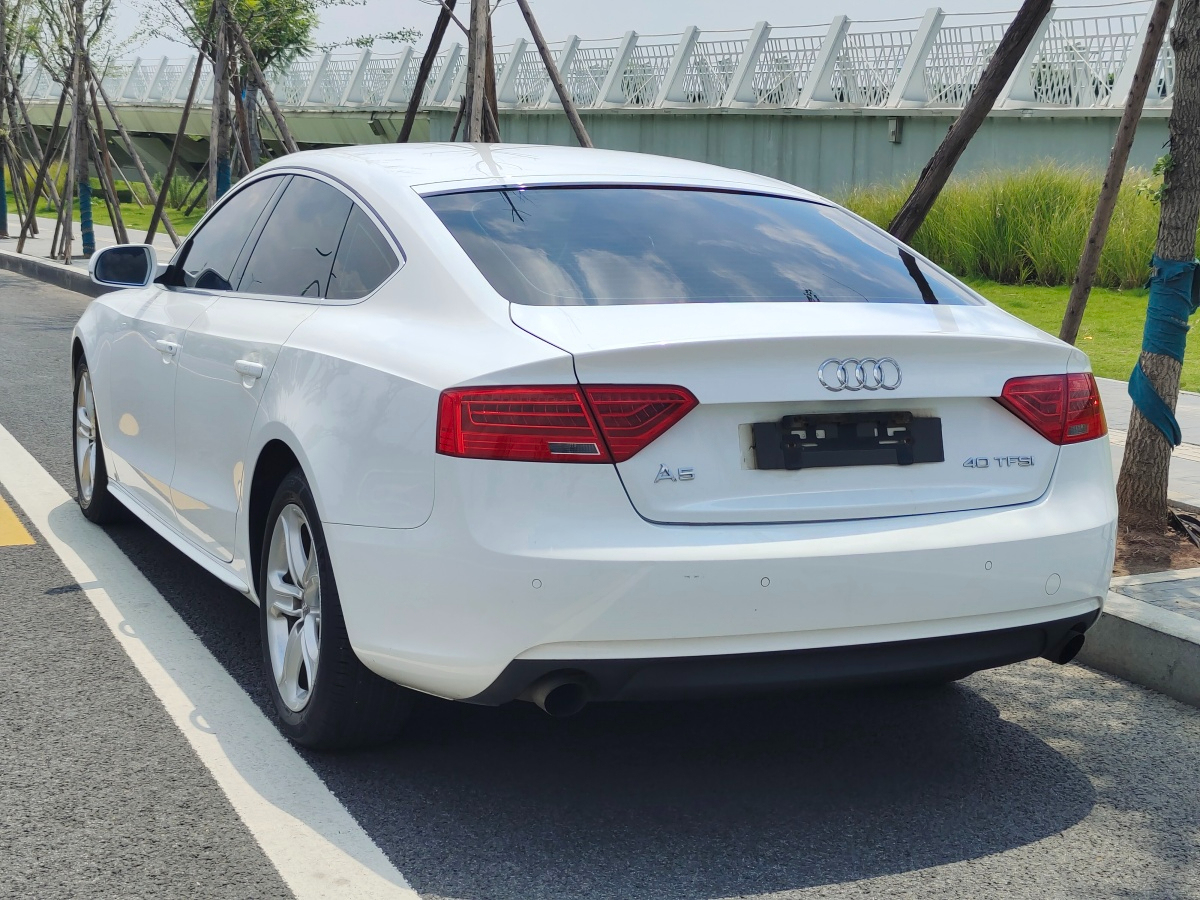 奧迪 奧迪A5  2013款 Sportback 40 TFSI風(fēng)尚版圖片