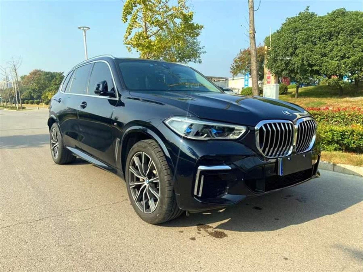 寶馬 寶馬X5  2022款 改款 xDrive 30Li 尊享型M運(yùn)動(dòng)套裝圖片