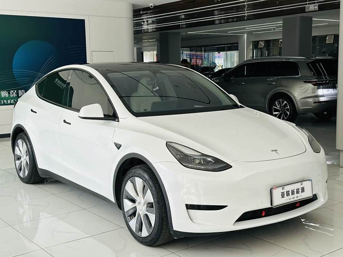 特斯拉 Model 3  2022款 后輪驅(qū)動(dòng)版圖片