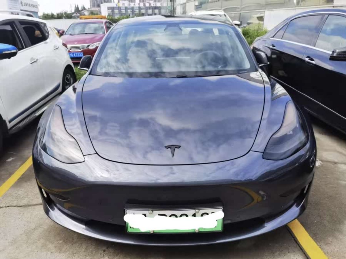 特斯拉 Model 3  2019款 標(biāo)準(zhǔn)續(xù)航后驅(qū)升級版圖片
