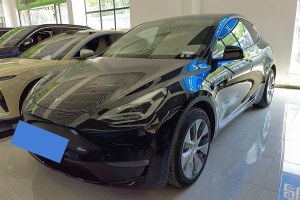 Model Y 特斯拉 標準續(xù)航后驅版
