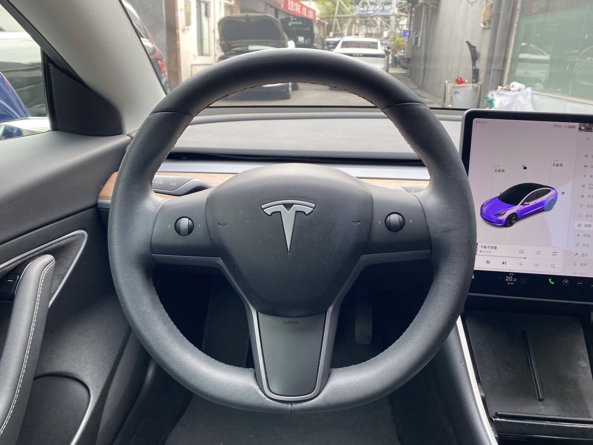 特斯拉 Model 3  2019款 標(biāo)準續(xù)航后驅(qū)升級版圖片