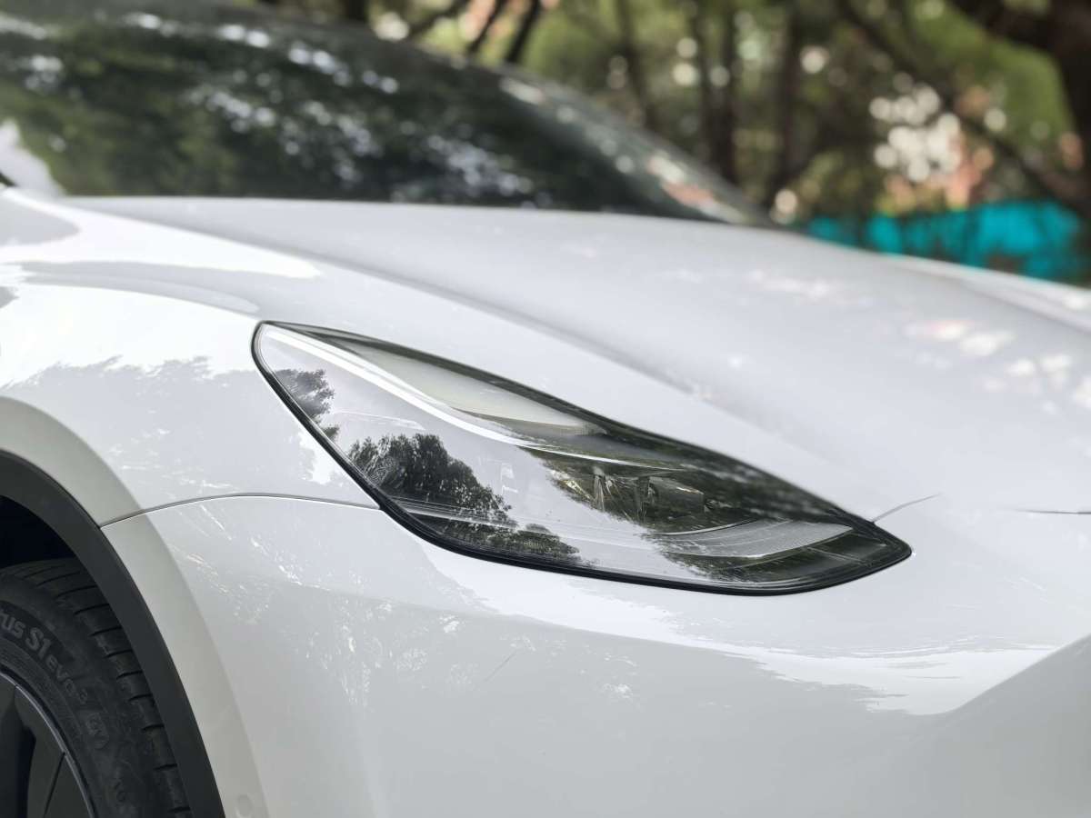 特斯拉 Model Y  2021款 標(biāo)準(zhǔn)續(xù)航后驅(qū)版圖片