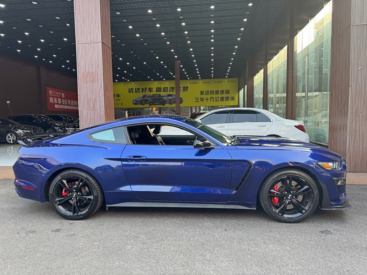 福特 Mustang  2015款 2.3T 50周年紀念版圖片