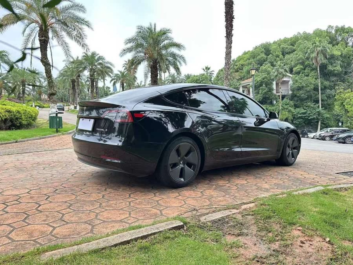 特斯拉 Model 3  2022款 后輪驅(qū)動(dòng)版圖片