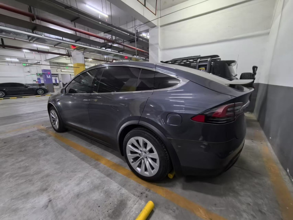 特斯拉 Model X  2019款 長續(xù)航版圖片