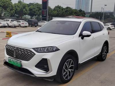 2023年3月 WEY 拿鐵DHT-PHEV 1.5T 兩驅(qū)超大杯圖片