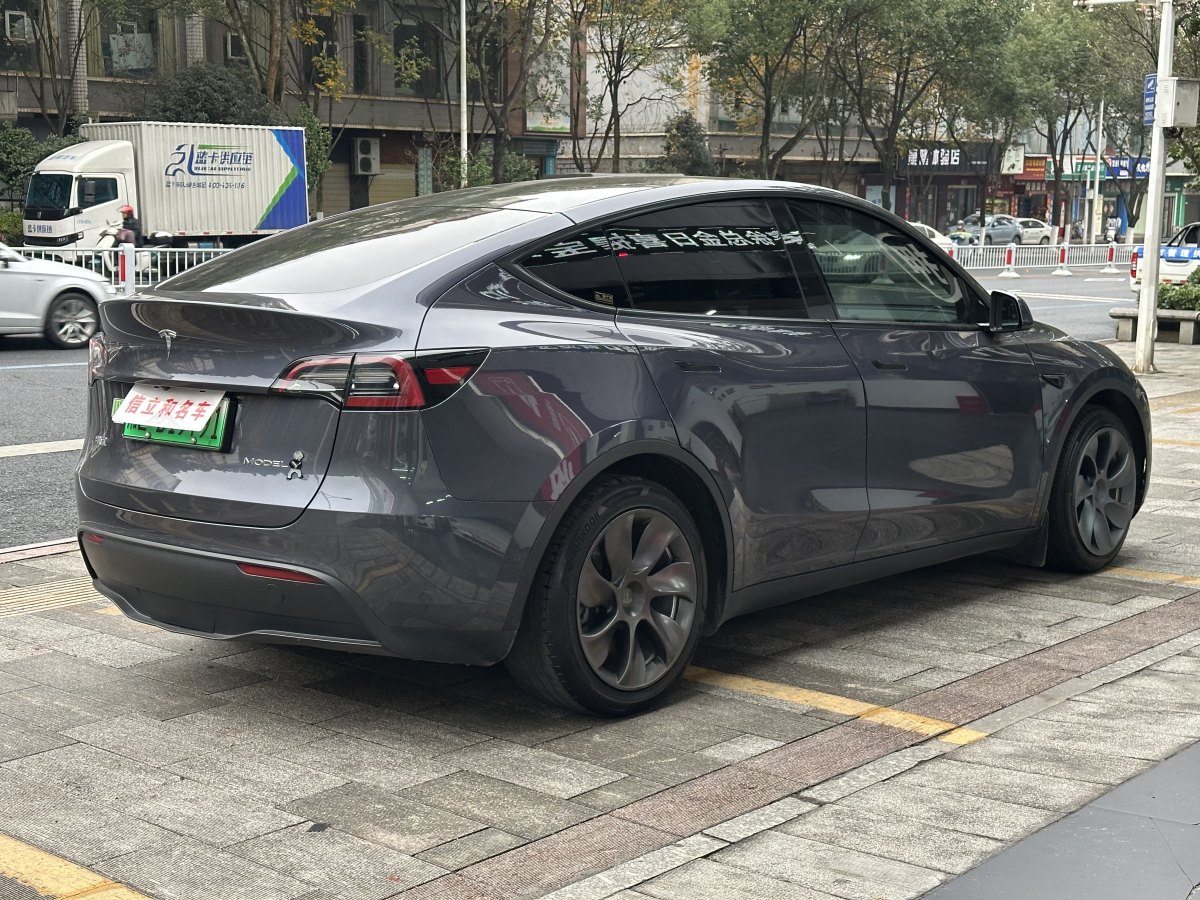 特斯拉 Model 3  2022款 后輪驅(qū)動(dòng)版圖片