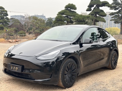 2022年1月 特斯拉 Model Y 后驅(qū)版圖片