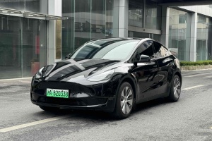 Model 3 特斯拉 改款 長續(xù)航后輪驅(qū)動版