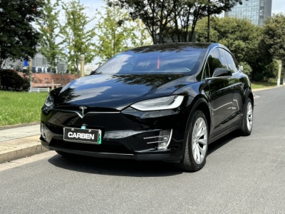 2019年7月 特斯拉 Model X Model X P100D Performance高性能版圖片