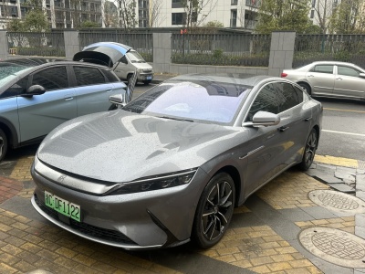 2021年01月 比亞迪 漢 EV 四驅(qū)高性能版旗艦型圖片