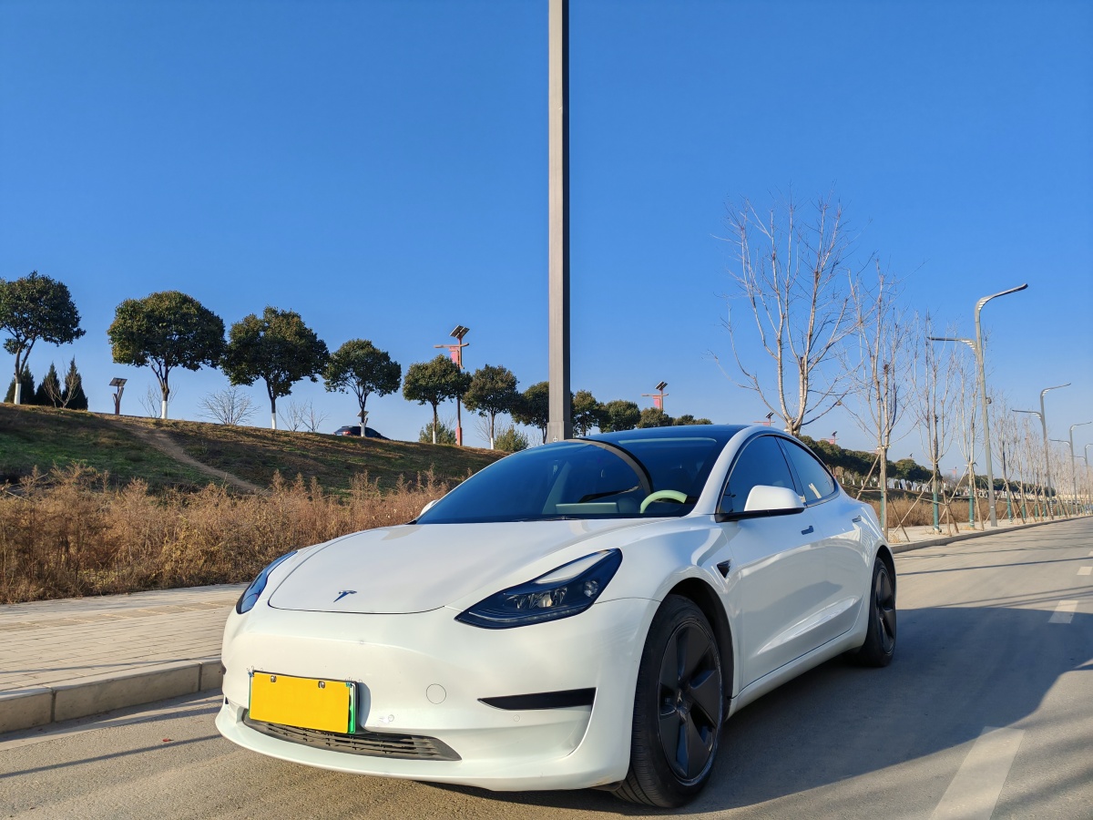 特斯拉 Model 3  2019款 標(biāo)準(zhǔn)續(xù)航后驅(qū)升級版圖片