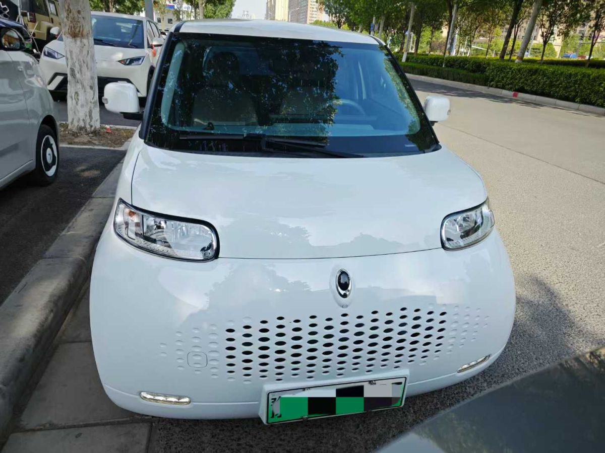 歐拉 歐拉白貓  2020款 305km 豪華型圖片