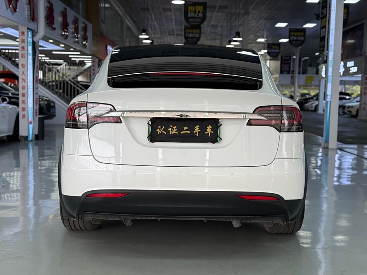 特斯拉 Model X  2019款 長續(xù)航版圖片