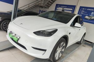 Model 3 特斯拉 改款 长续航后轮驱动版