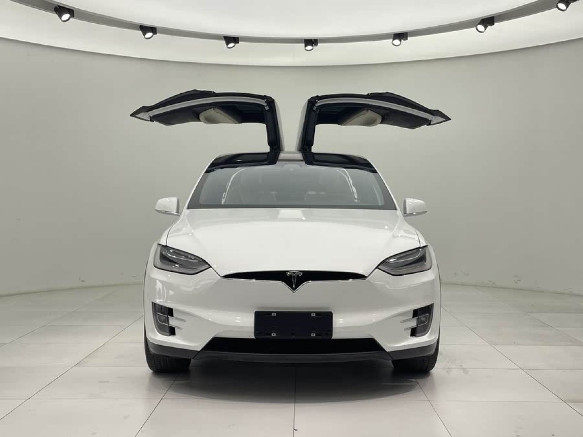 特斯拉 Model X  2020款 Performance 高性能版圖片