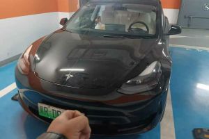 Model 3 特斯拉 Performance高性能全輪驅動版