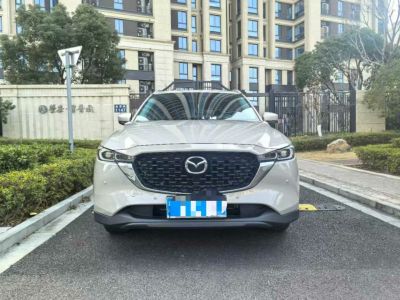 2022年11月 馬自達(dá) CX-5 2.0L 自動(dòng)兩驅(qū)智尚型圖片