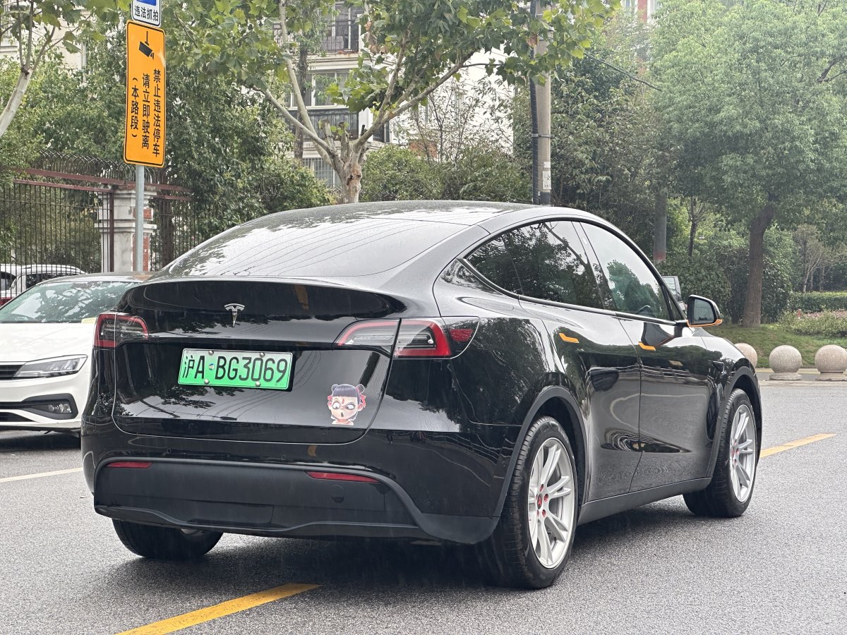 特斯拉 Model Y  2020款 改款 長續(xù)航后輪驅(qū)動版圖片