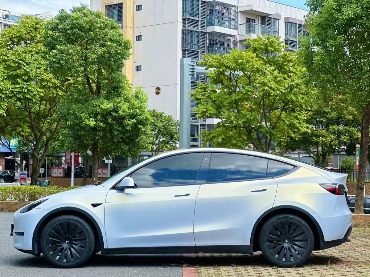 2021年8月特斯拉 Model Y  2021款 改款 標(biāo)準(zhǔn)續(xù)航后驅(qū)升級版