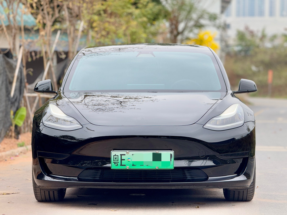 特斯拉 Model 3  2020款 改款 標(biāo)準(zhǔn)續(xù)航后驅(qū)升級(jí)版圖片