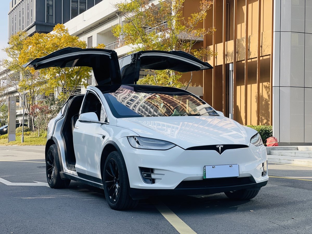 特斯拉 Model X  2019款 標(biāo)準(zhǔn)續(xù)航版圖片