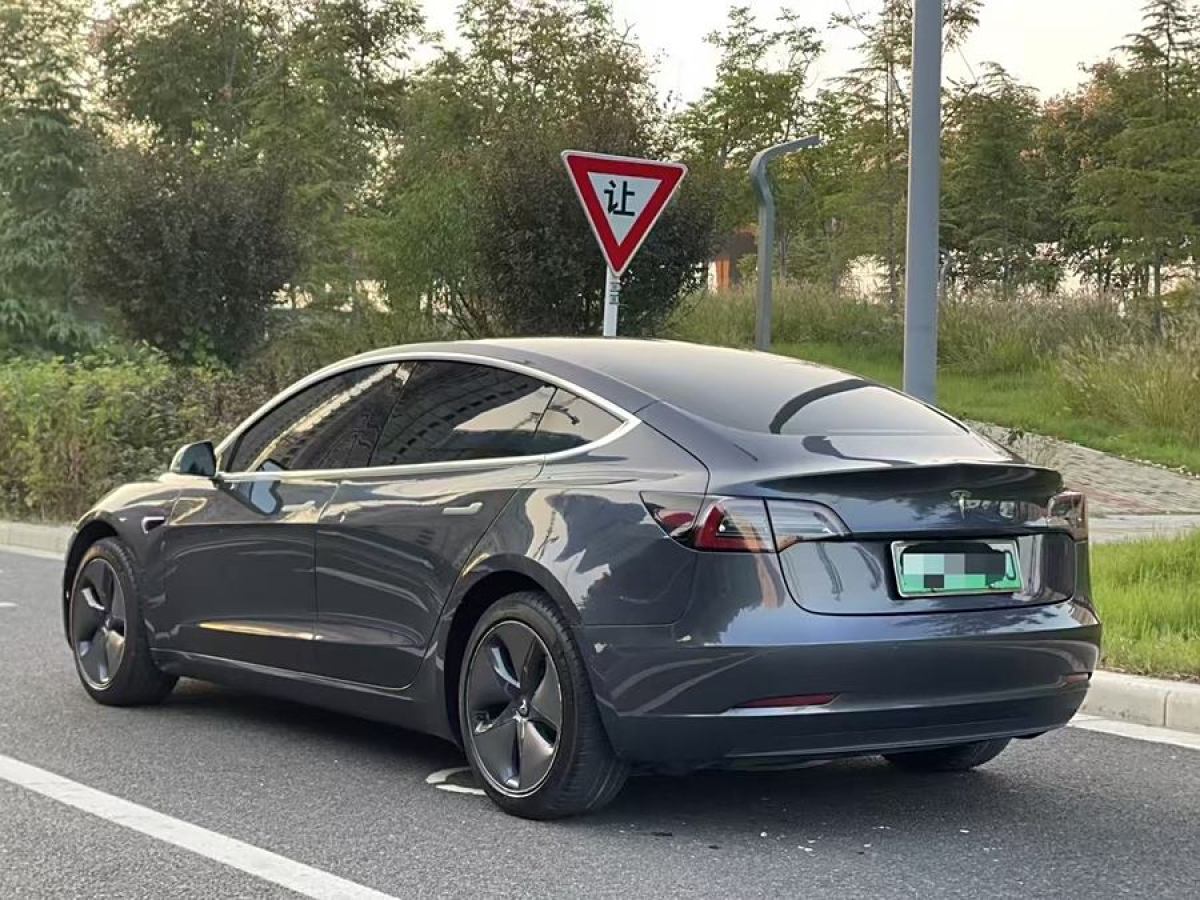 特斯拉 Model 3  2019款 標(biāo)準(zhǔn)續(xù)航后驅(qū)升級版圖片