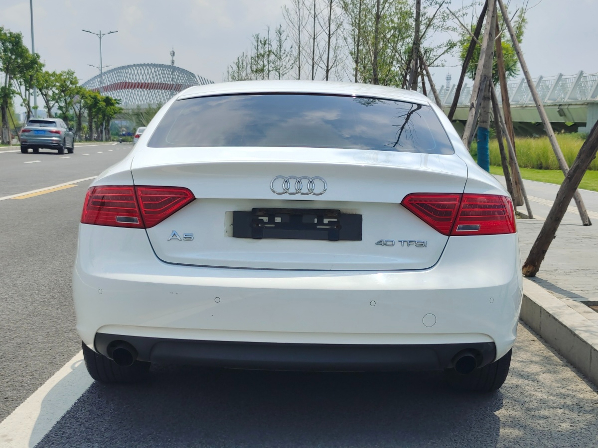 奧迪 奧迪A5  2013款 Sportback 40 TFSI風(fēng)尚版圖片