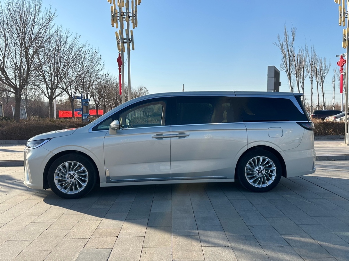 嵐圖 夢想家  2024款 PHEV 超長續(xù)航卓越版圖片